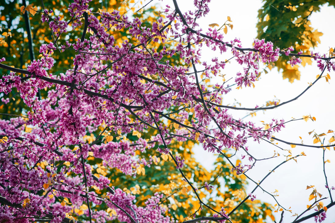 Spring - Styled & Carried / Part One: Something Beautiful Is Blooming