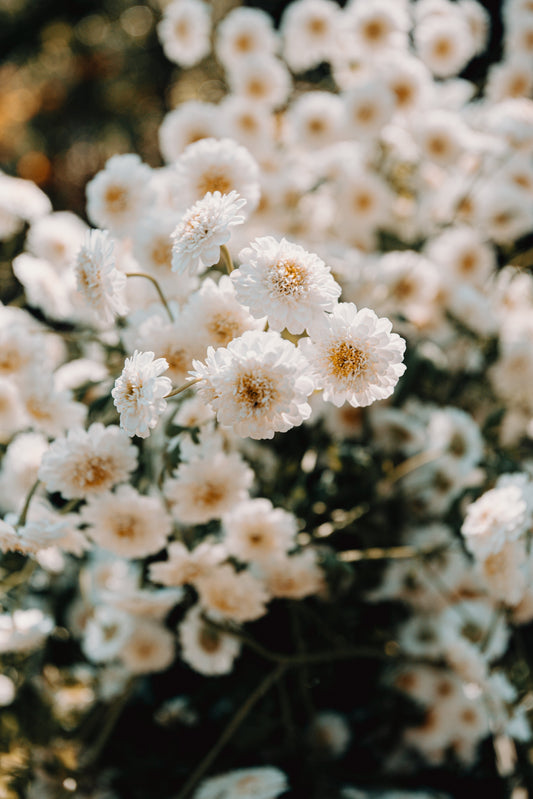 Spring, Styled & Carried Part Two: Meet Your Spring Statement